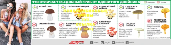 дурь Алзамай