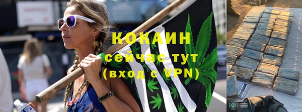 твердый Алексин