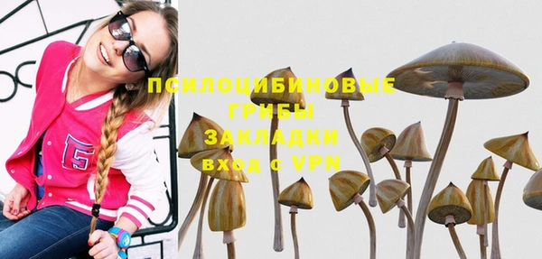 метадон Алексеевка